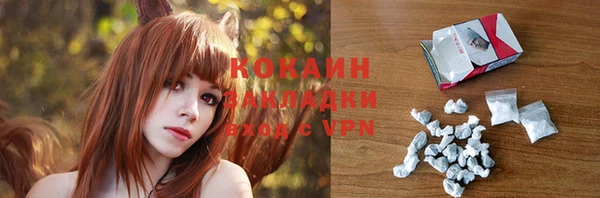 соль ск Козловка