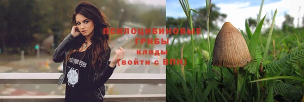 spice Киренск