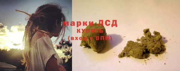 ПСИЛОЦИБИНОВЫЕ ГРИБЫ Козельск