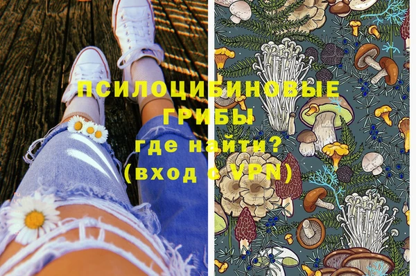 прущие грибы Кодинск