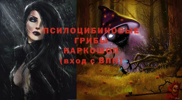соль ск Козловка