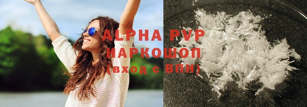 прущие грибы Кодинск