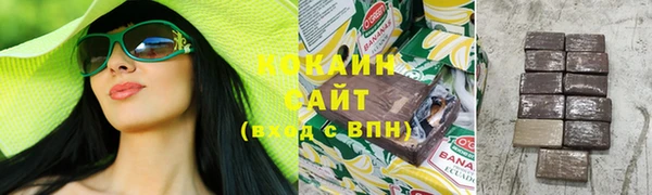 соль ск Козловка