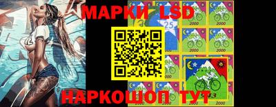 apvp Свободный
