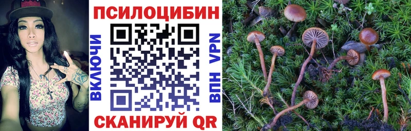 Псилоцибиновые грибы Psilocybe  как найти закладки  Черемхово 