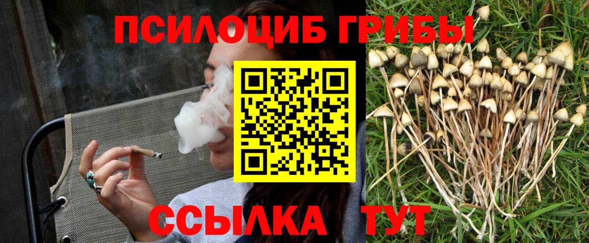 Галлюциногенные грибы мицелий  Галлюциногенные грибы GOLDEN TEACHER  Черемхово  где купить   Вход с VPN 